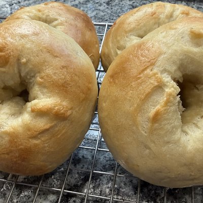 Plain Sourdough Bagel (6 pack)