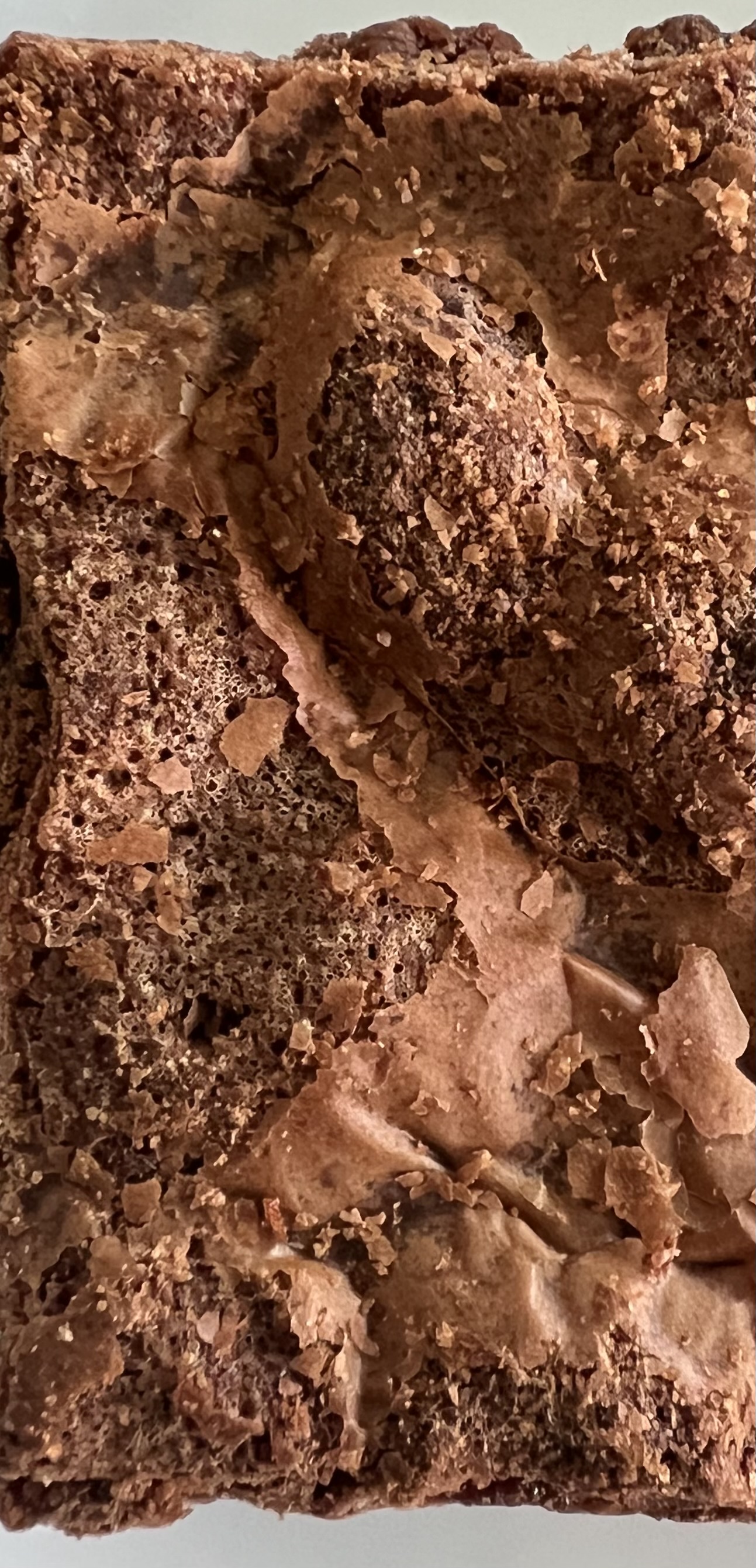 Browniekins (30 Bite Sized/Small)
