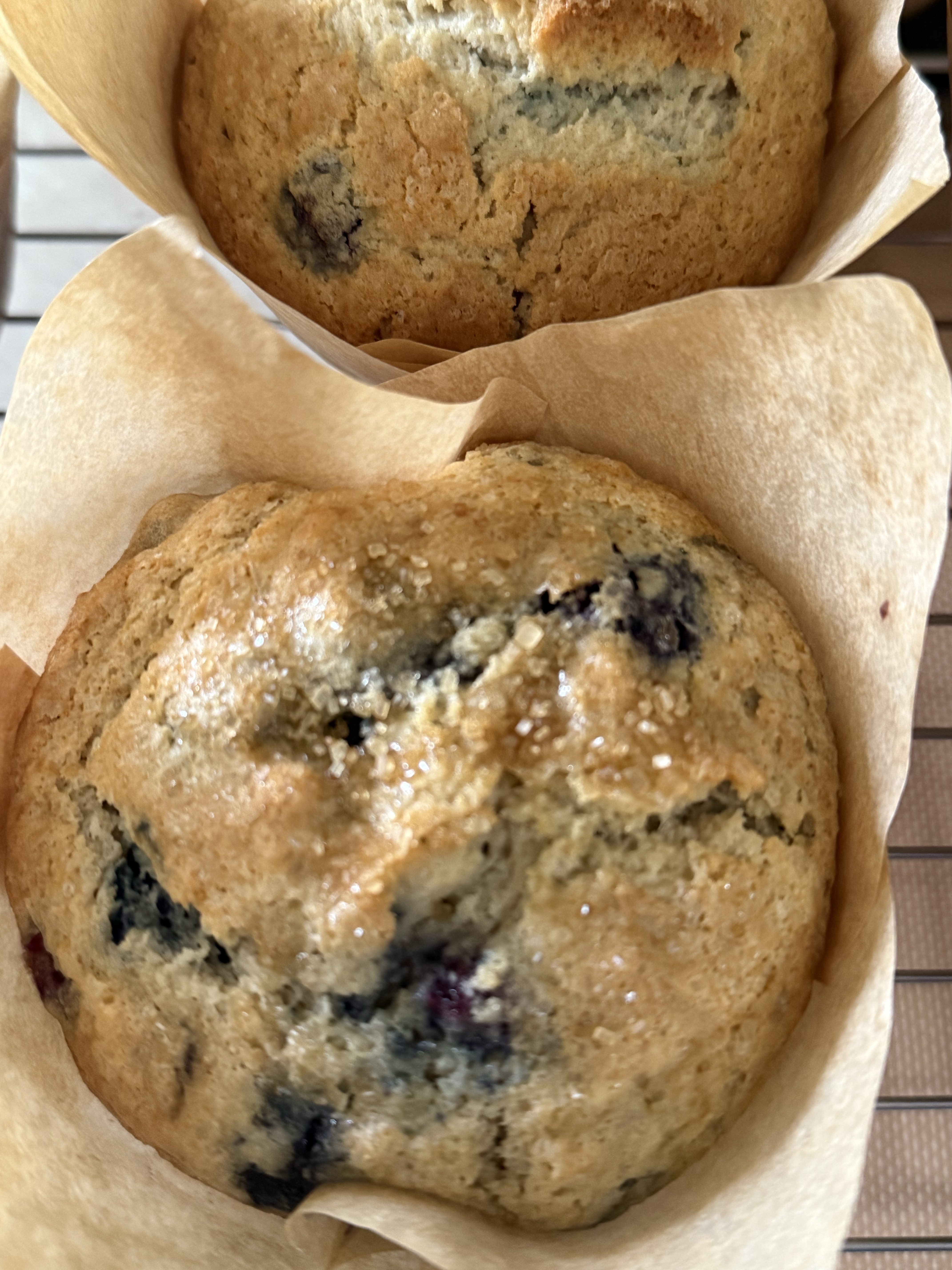 Blueberry Muffins 