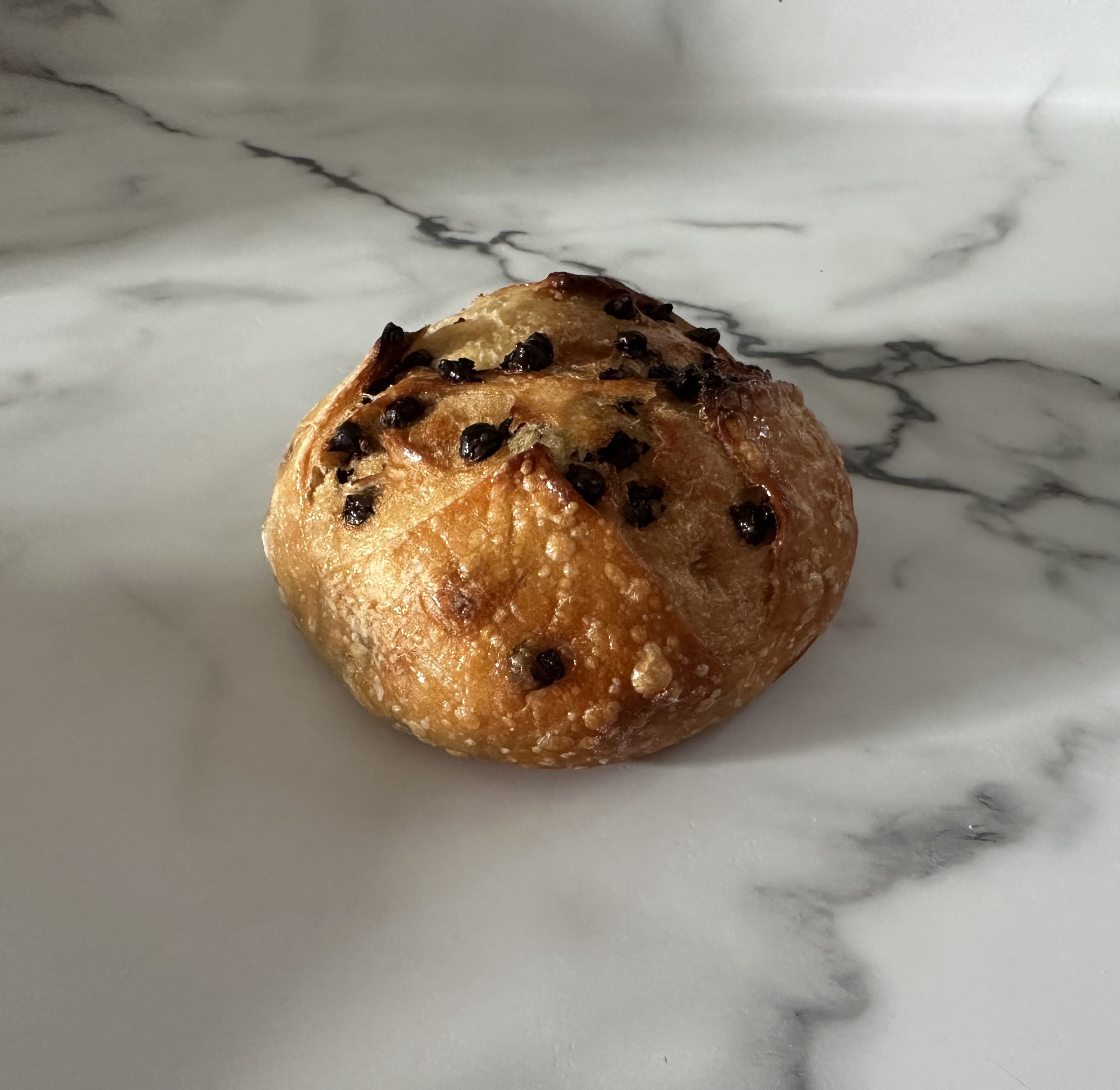 Chocolate Chip Sourdough Loaf
