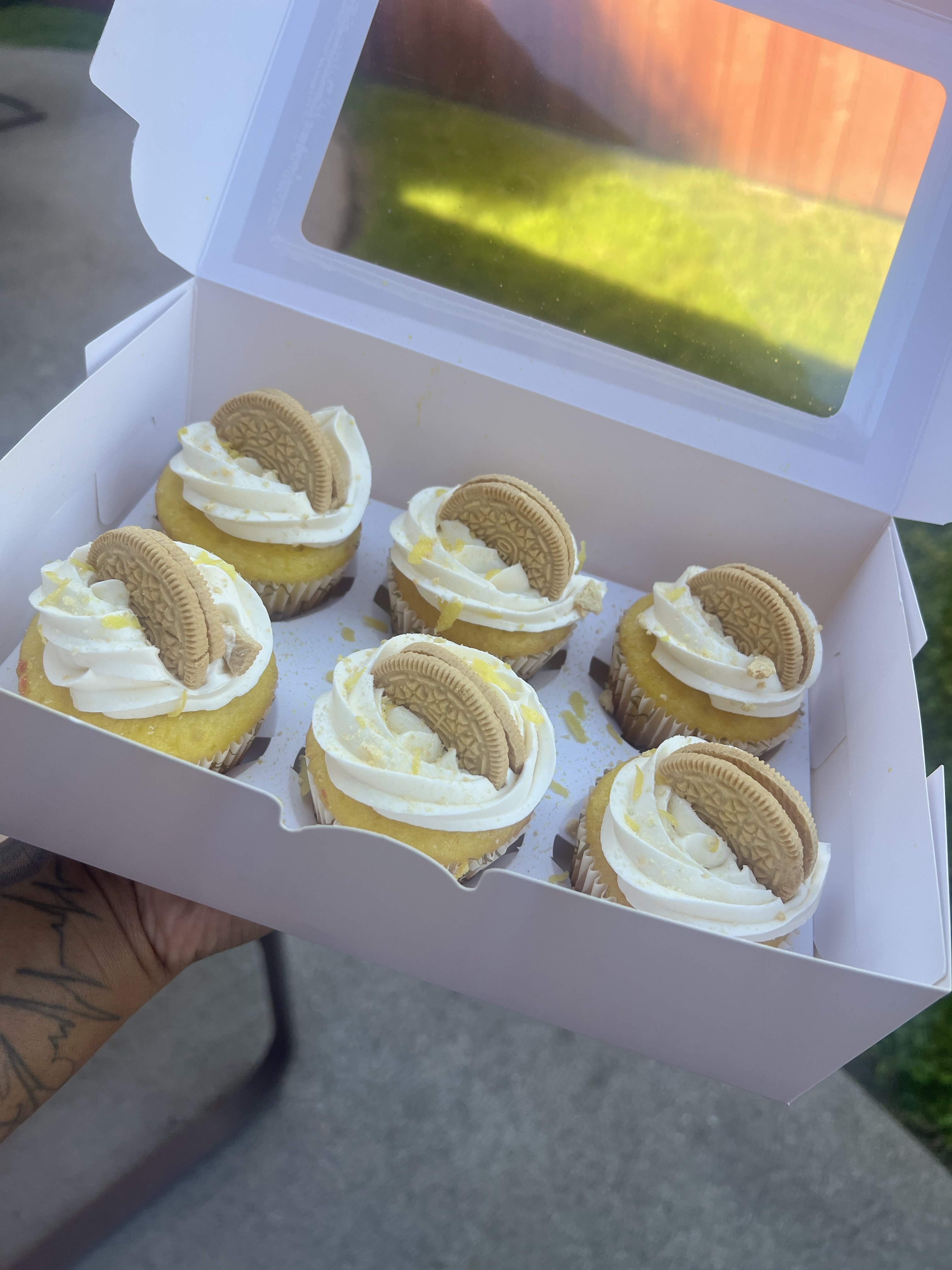 Half Dozen Cupcakes 