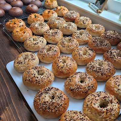 Sourdough Bagels (Plain, Everything, Jalapeño Cheddar) 