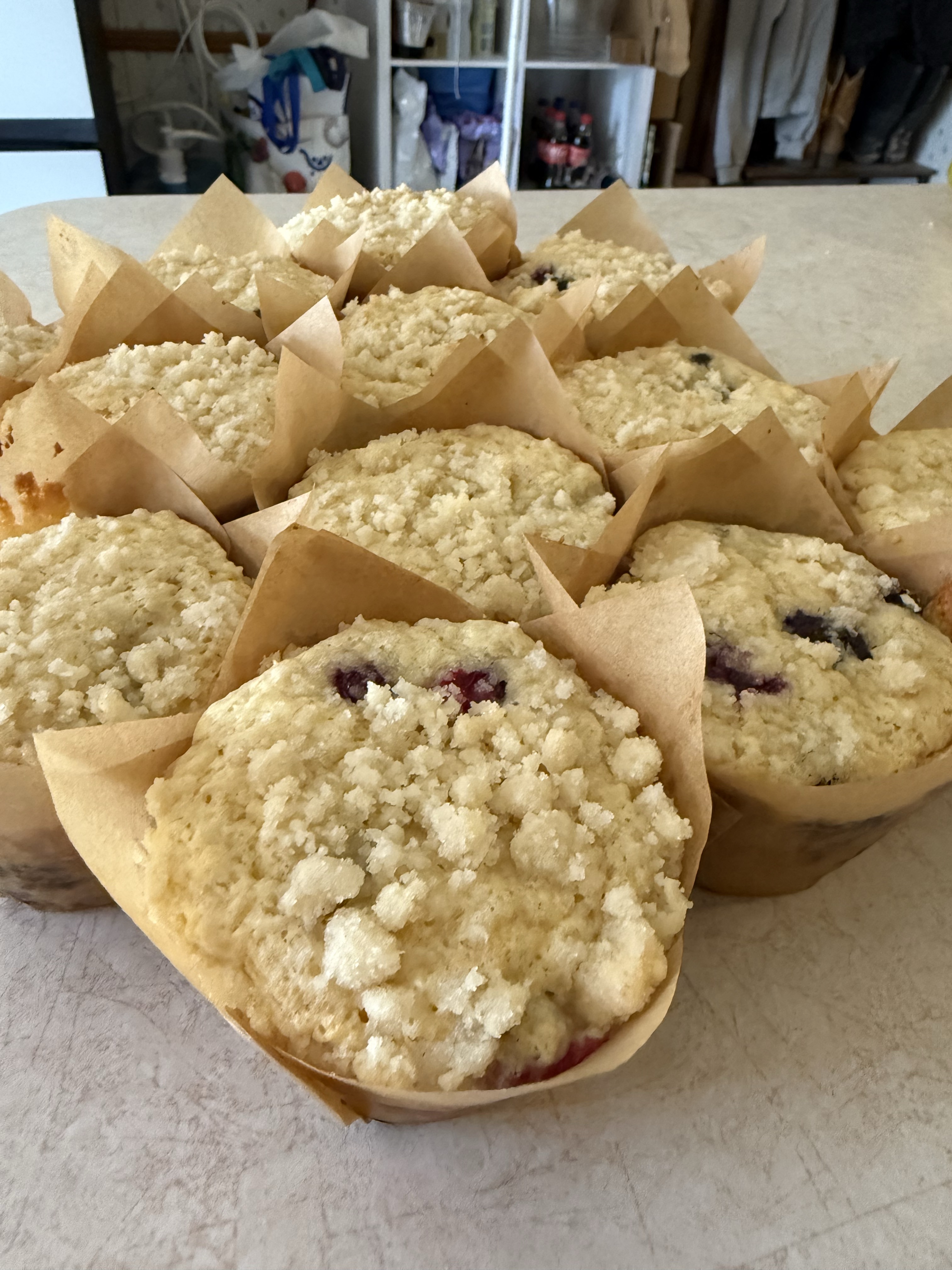 🫐 Sourdough Blueberry Muffins 