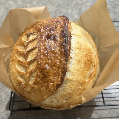 Chocolate Chip Sourdough Loaf