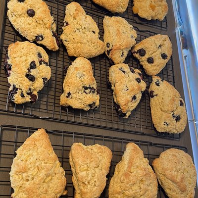 Chocolate Chip Scones- 8 Pack