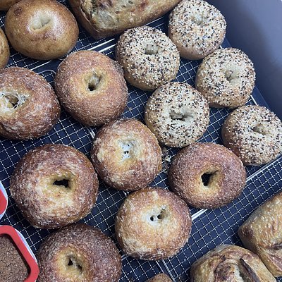 Sourdough Bagels- Jalapeno & Cheddar (4ct)