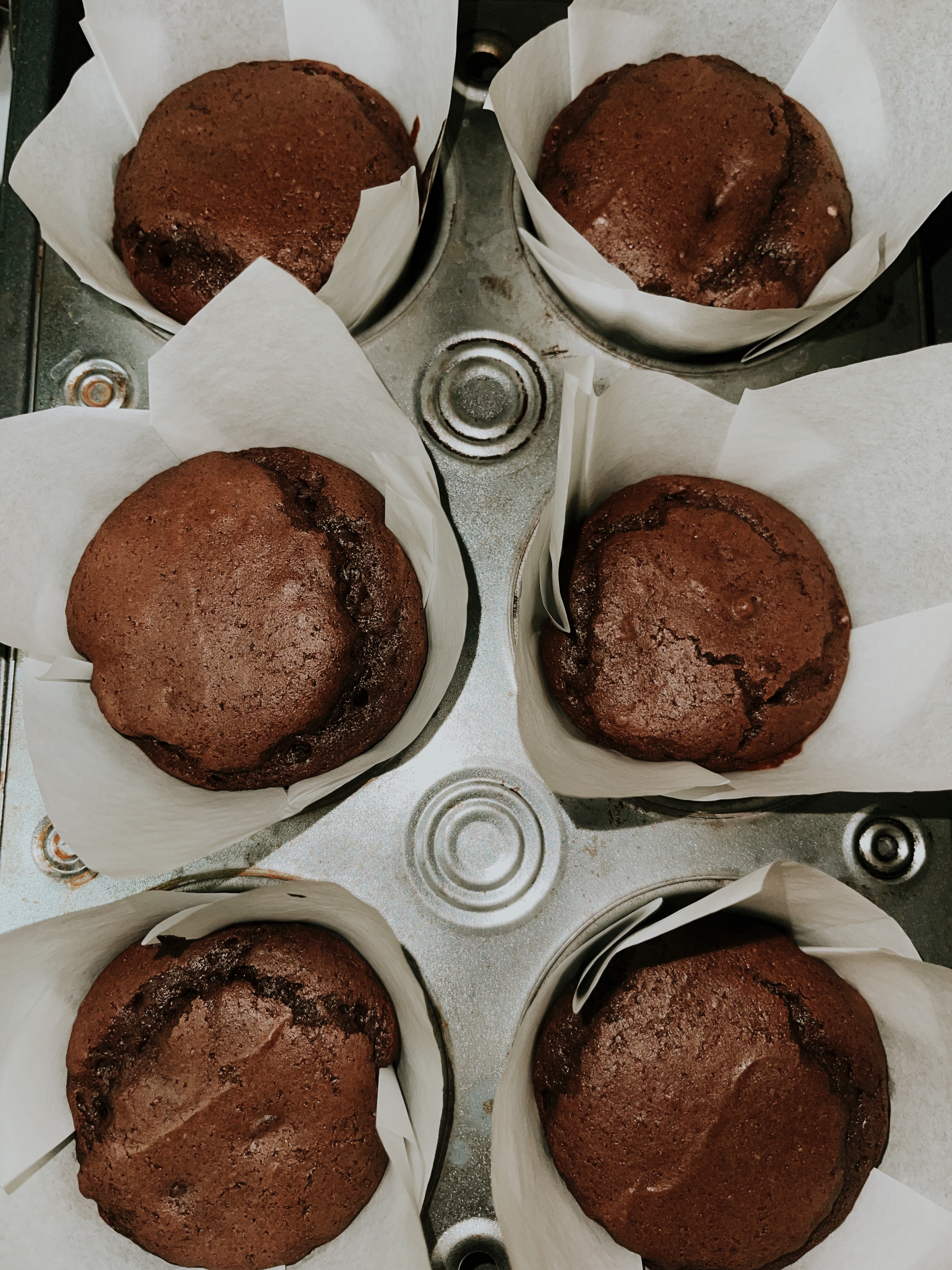 Chocolate Chocolate Chip Muffins