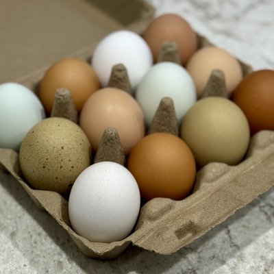 One Dozen Eggs - Washed 