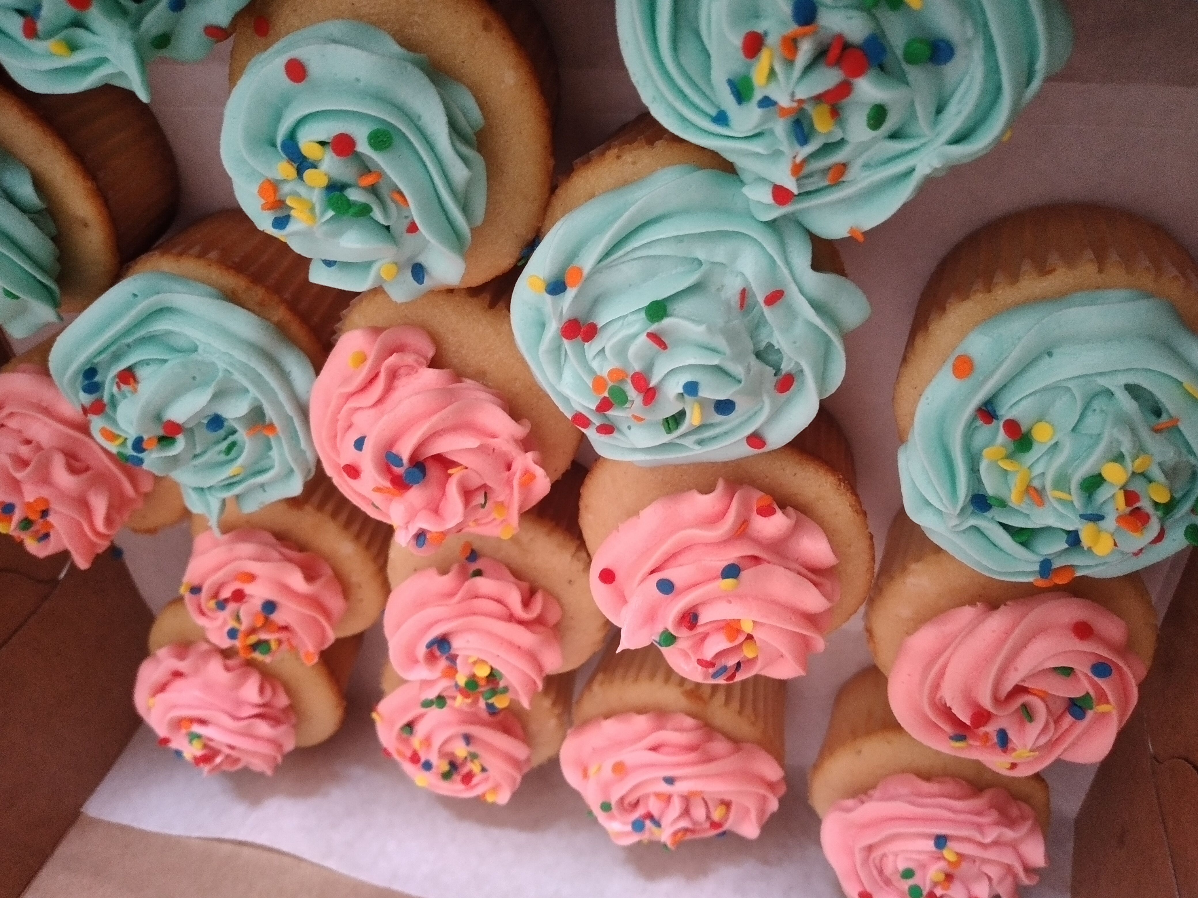 Calypso Cupcakes