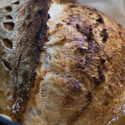 🍁 Golden Seed Sourdough - Sunflower Or Pumpkin 