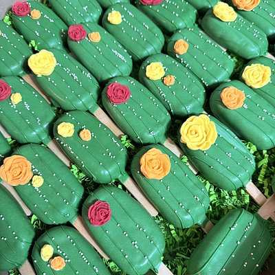 Cakesicles 