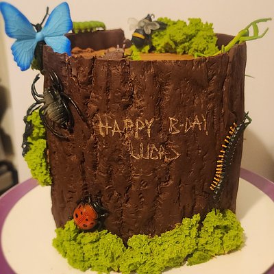 Custom Cakes Starting At $90