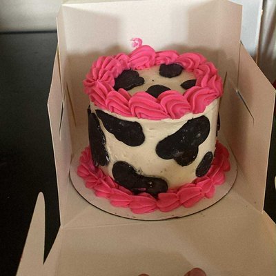 Smash Cake 2 Layer 4 Inch Cake 