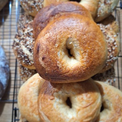 Organic Sourdough Bagels 1 Dozen 