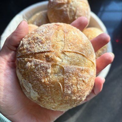 Sourdough Cuties - Hand Sized Boules