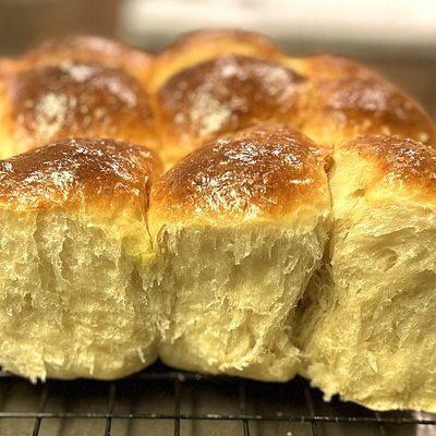 Sourdough Brioche Dinner rolls