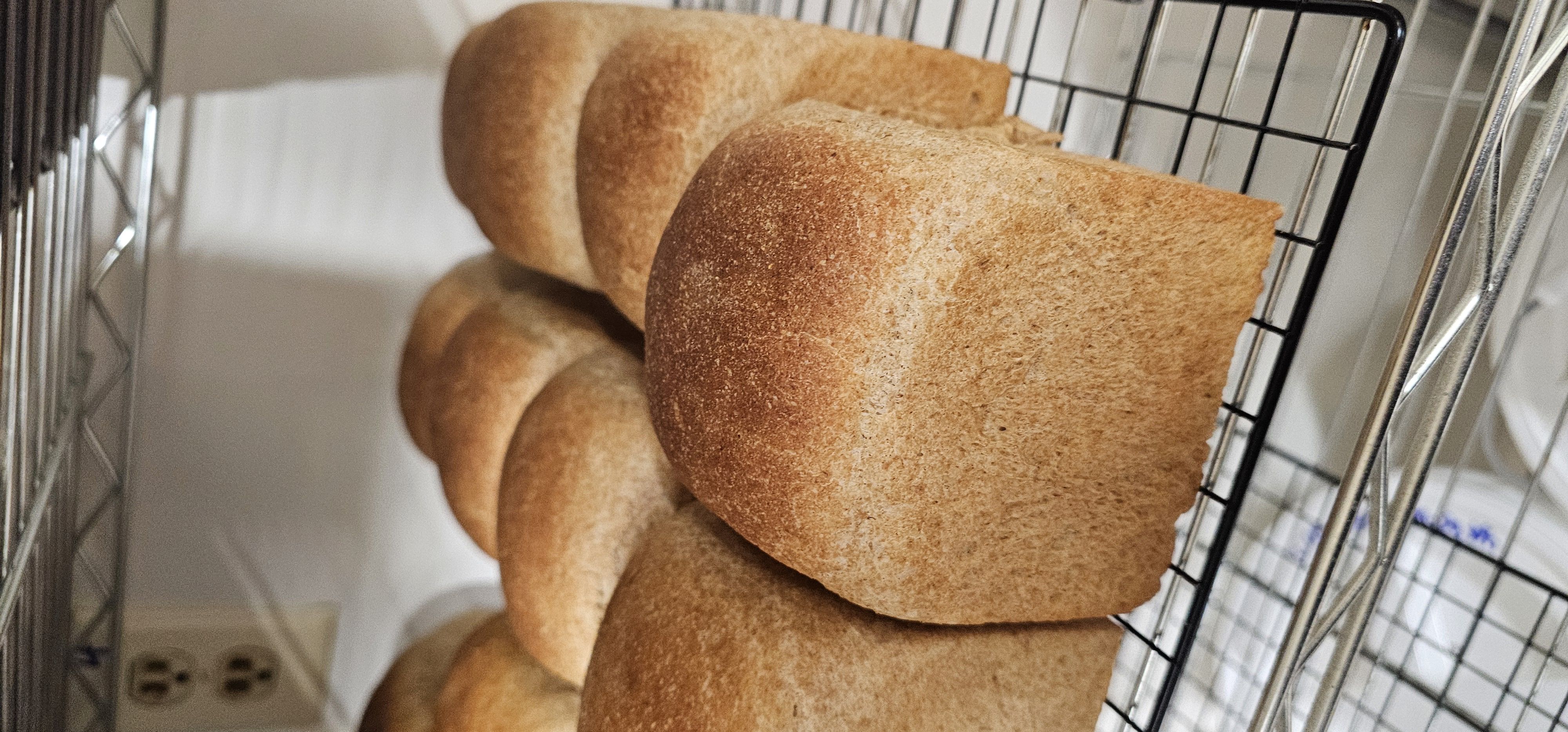 Happy Wheat/Small