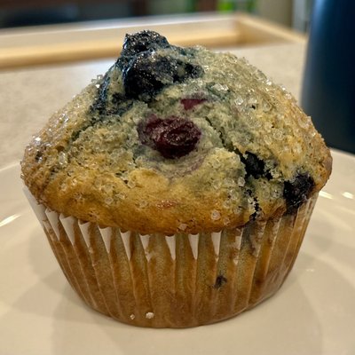 Fresh Blueberry Muffins 