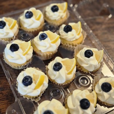Mini Lemon Blueberry Cupcakes