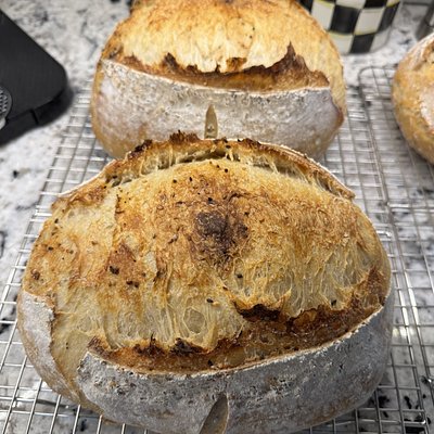 Everything Bagel Sourdough