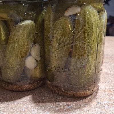 Classic Dill Pickles
