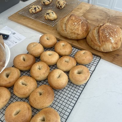 Plain Sourdough Bagels Half Dozen (6)