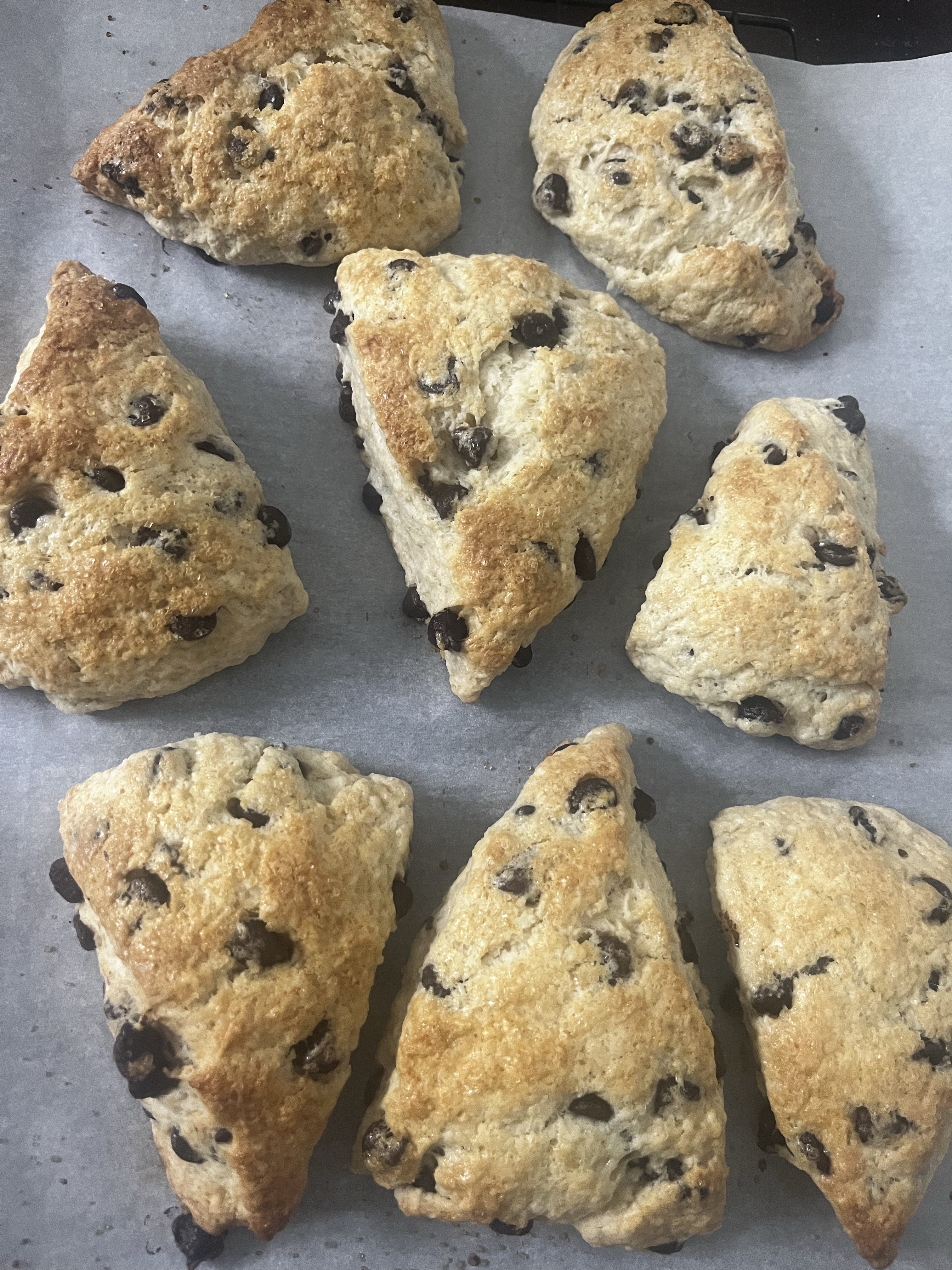 Sourdough Chocolate Chip Scones 8ct