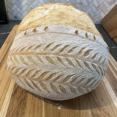 Plain Sourdough