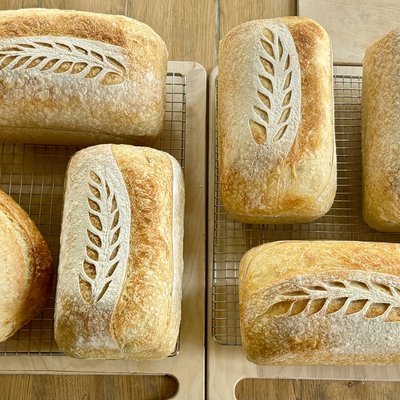 Organic Sourdough Sandwich Loaf