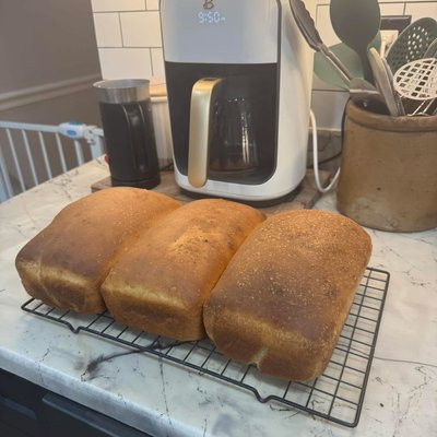 Sourdough Sandwich Bread