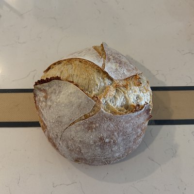 Plain Sourdough Loaf 