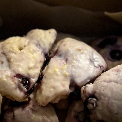 Blueberry Scones - 8 Medium 
