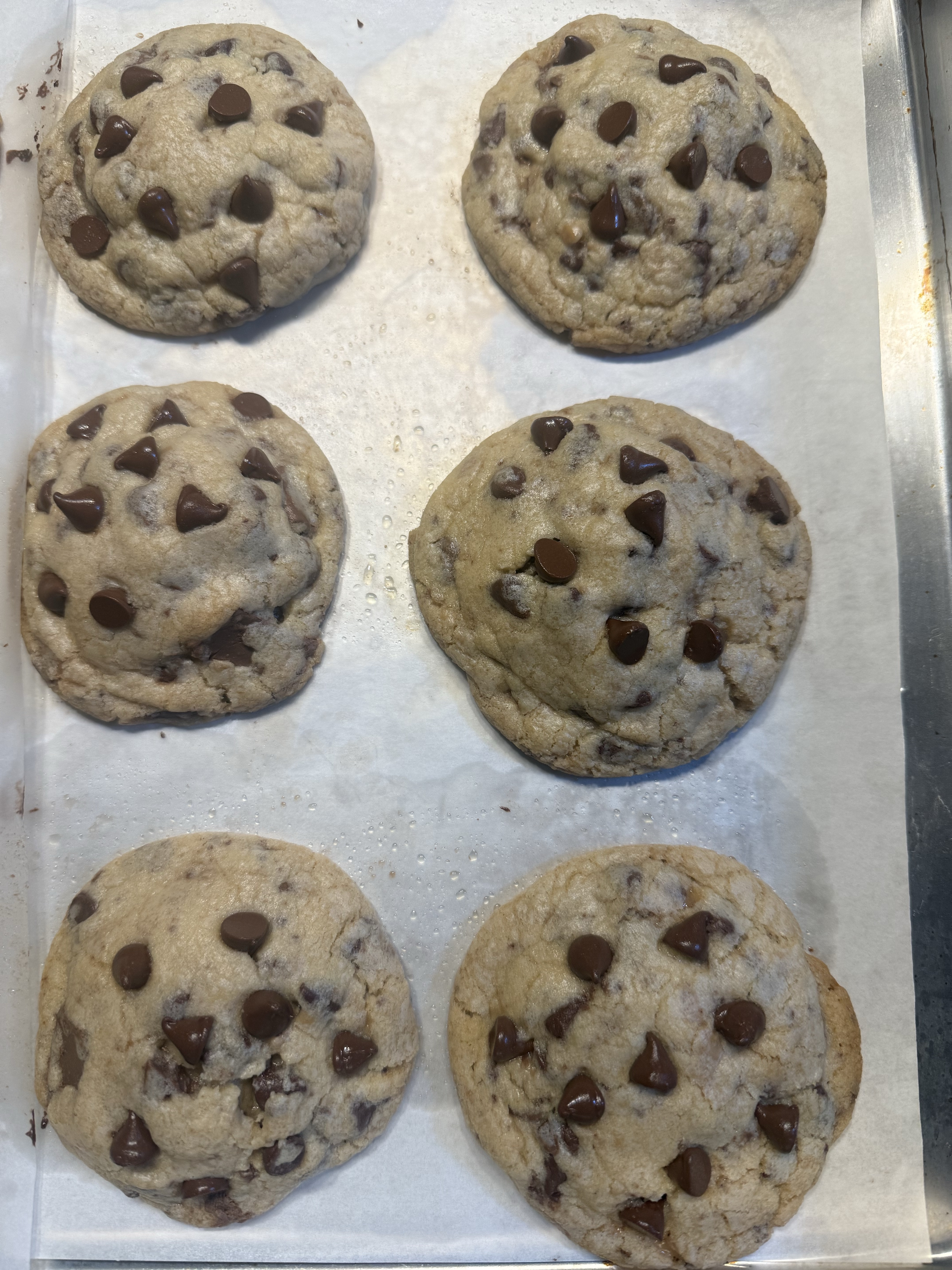 Chocolate Chip