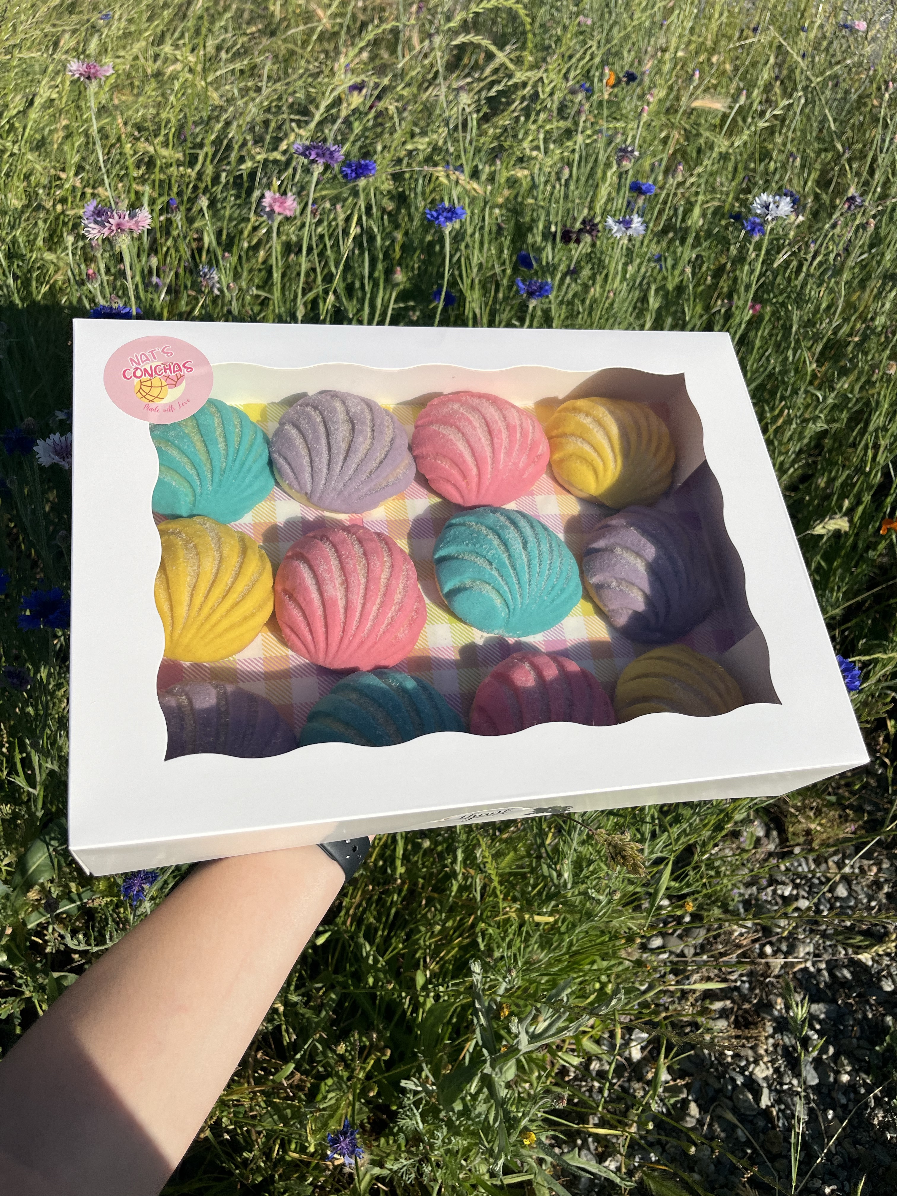 Conchitas (Mini Conchas)