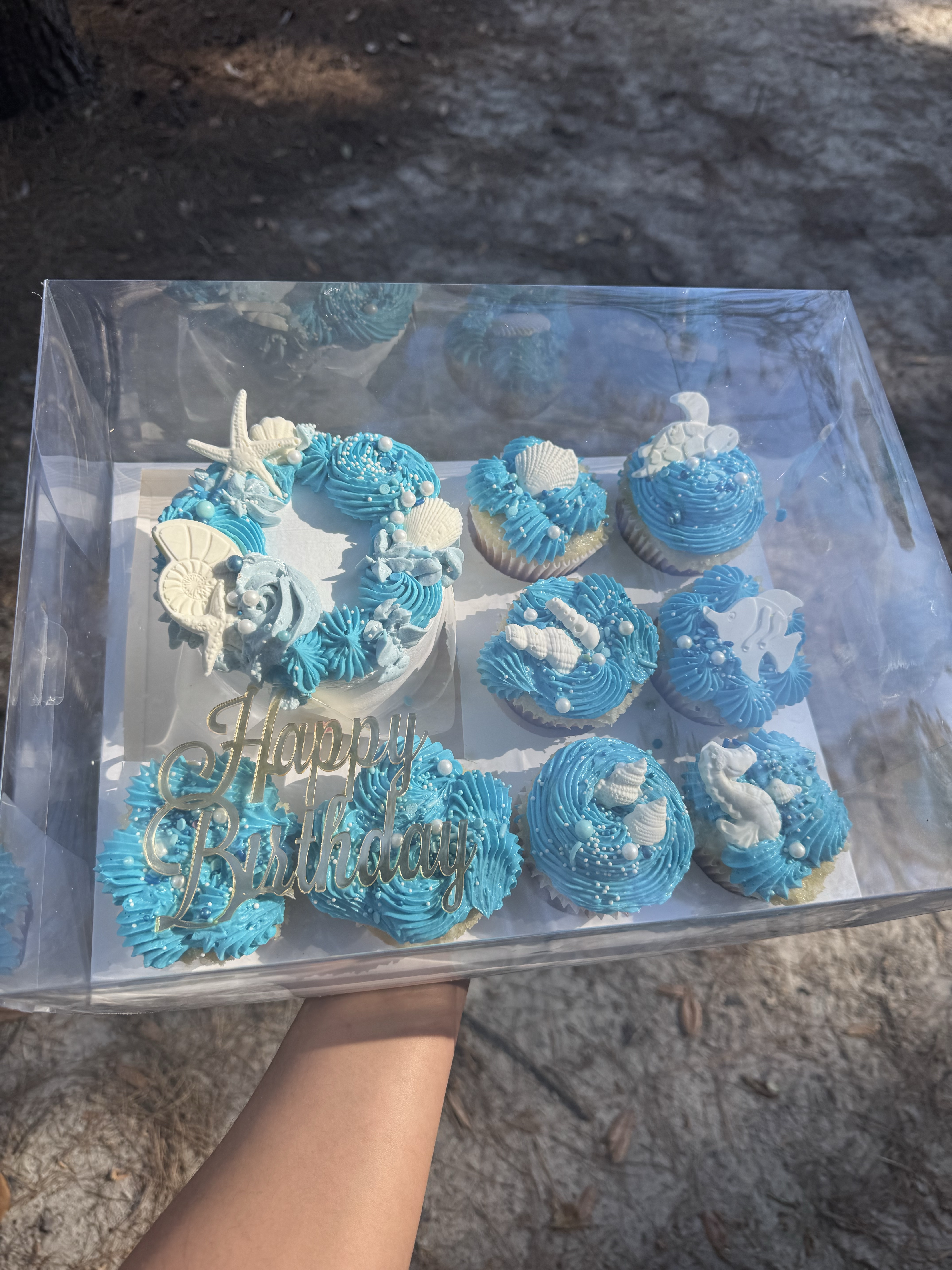 Bento Cake And Cupcakes Box 