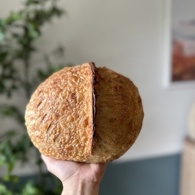 Sourdough Boule
