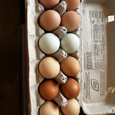 FREE-RANGE CHICKEN EGGS