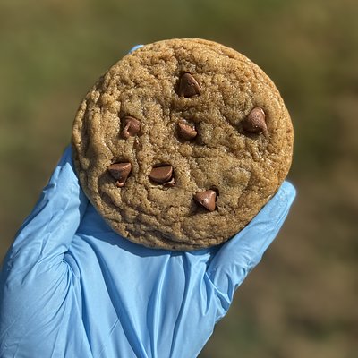 Sourdough Chocolate Chip Cookies 