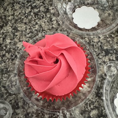 Adult Edition 18+ Jumbo Cupcakes 