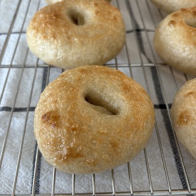 Plain Bagel