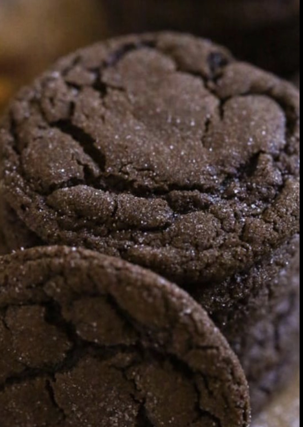 Chocolate Sugar Cookies