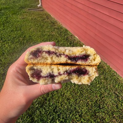 Tennessee's Smoky Mountain Blackberry Biscuit