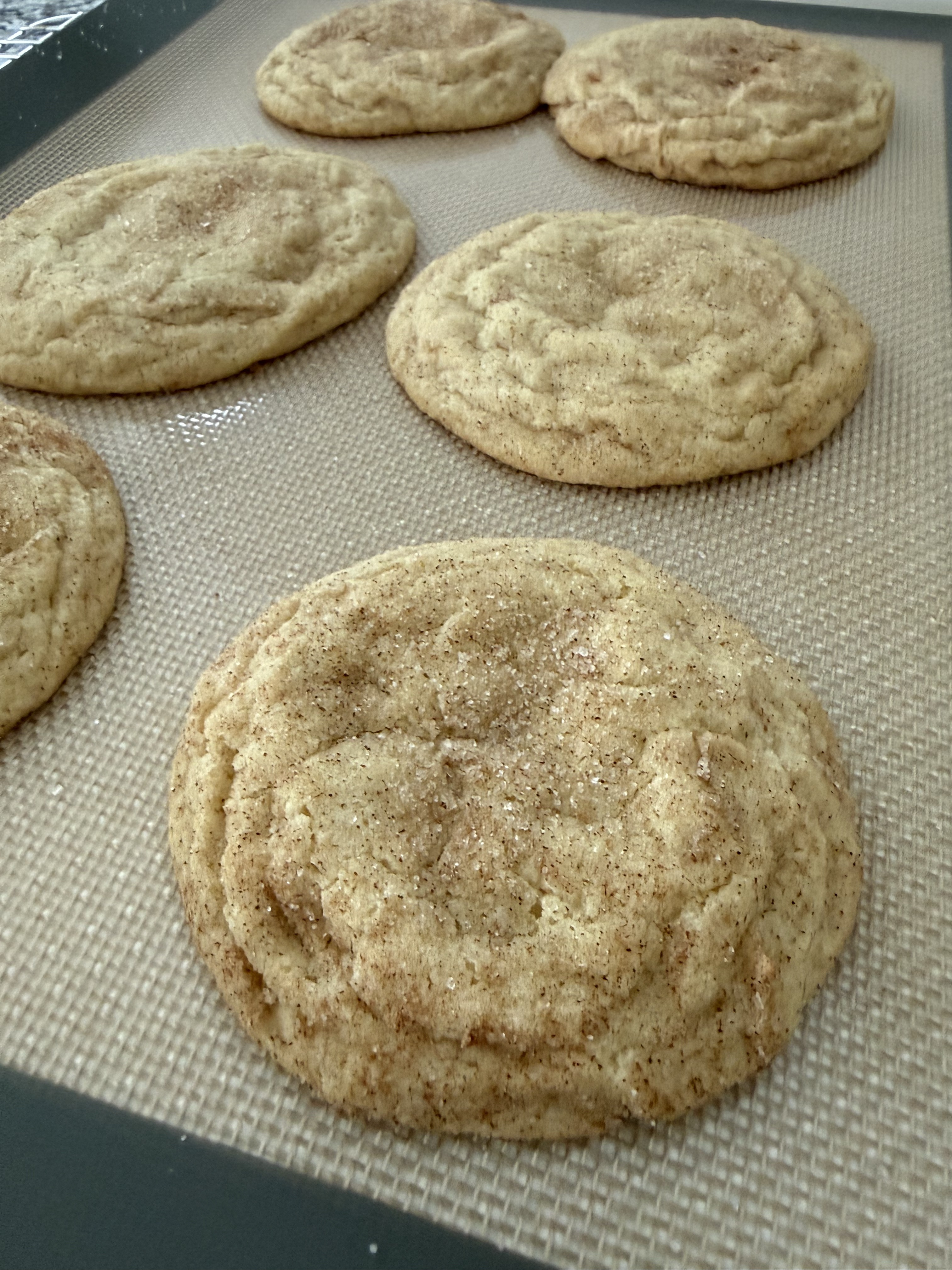 Snickerdoodle 