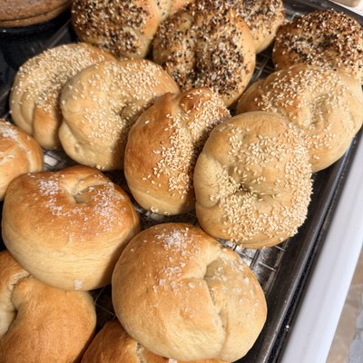 VARIETY | Don’t Make Me Bagel (8-pack)