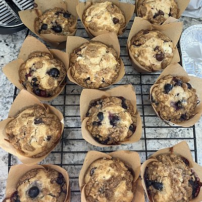 Muffins 4 Pack 