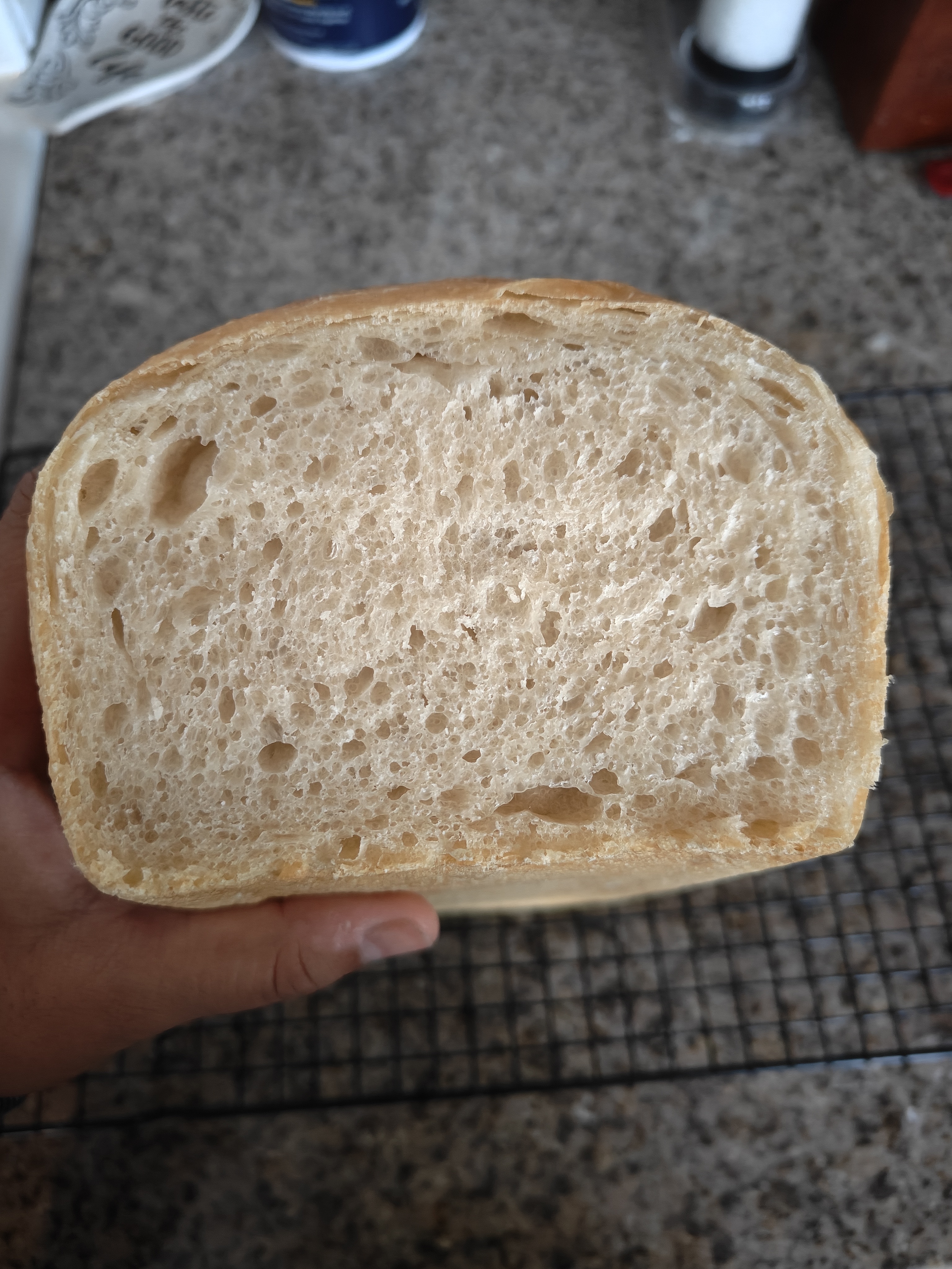 Sourdough Sandwich Bread 