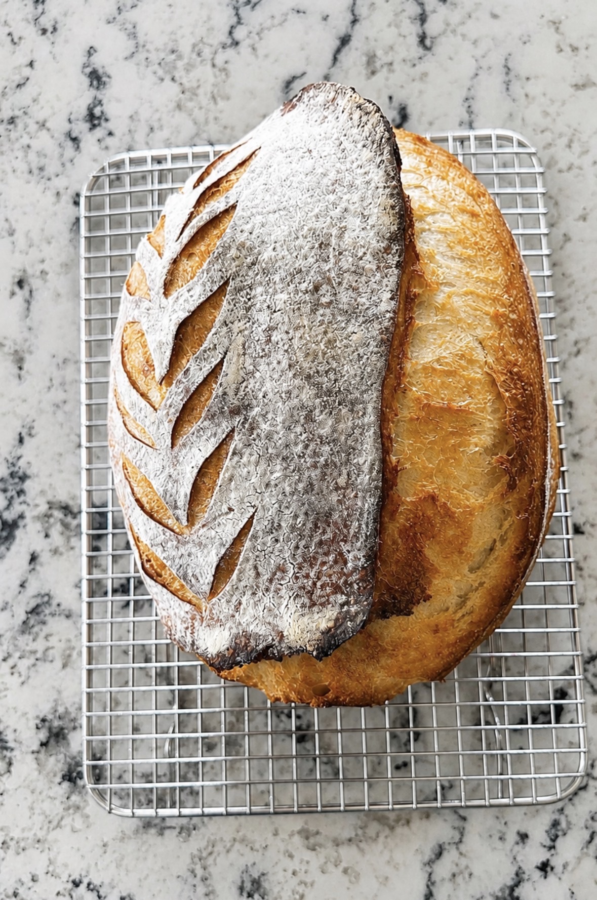 Sourdough Bread