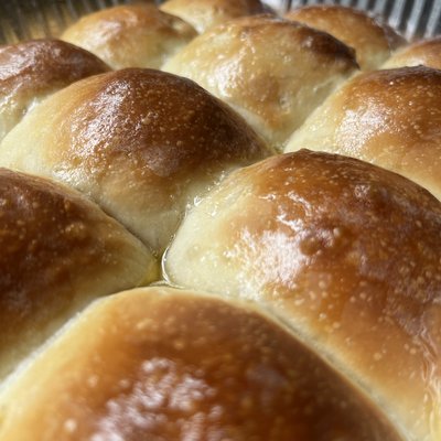 Classic Sourdough Dinner Rolls Dozen