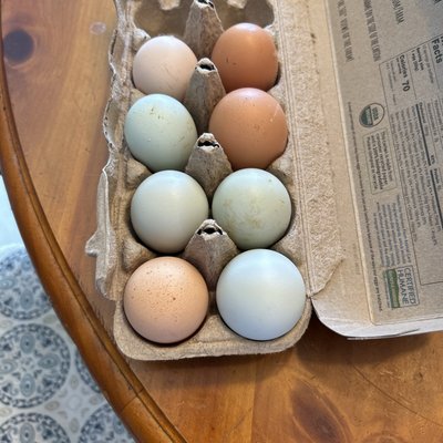 Farm Fresh Eggs