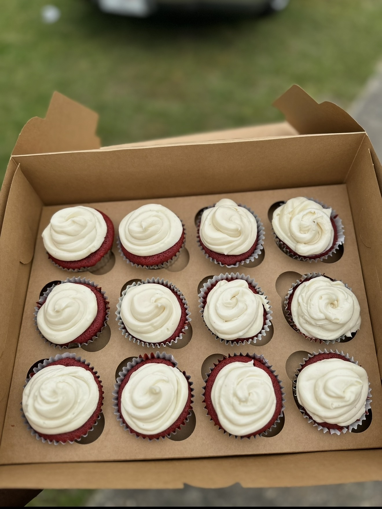 Red Velvet Cupcakes Dozen